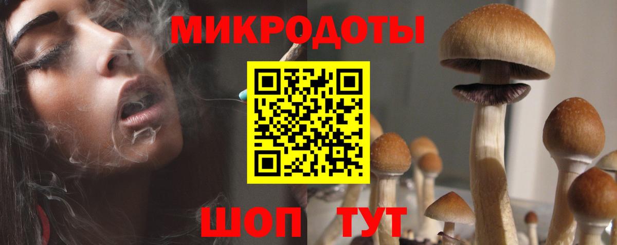 Псилоцибиновые грибы прущие грибы Москва